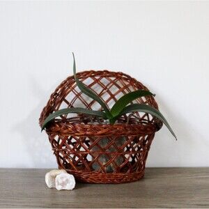 Woven Wicker Wall Plant Basket Boho Rattan Wall Hanging Wall Mounted Planter